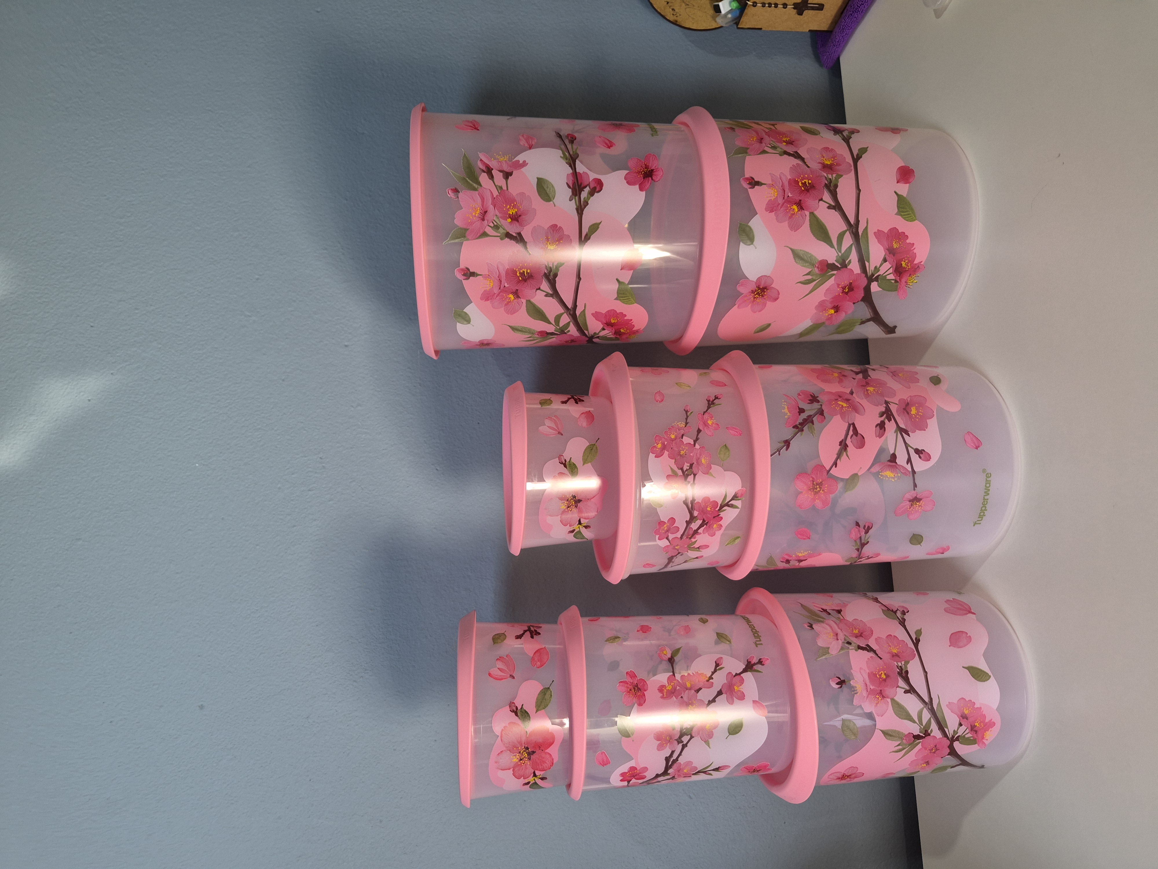 Kit Instant mágica cerejeiras - 10 peças